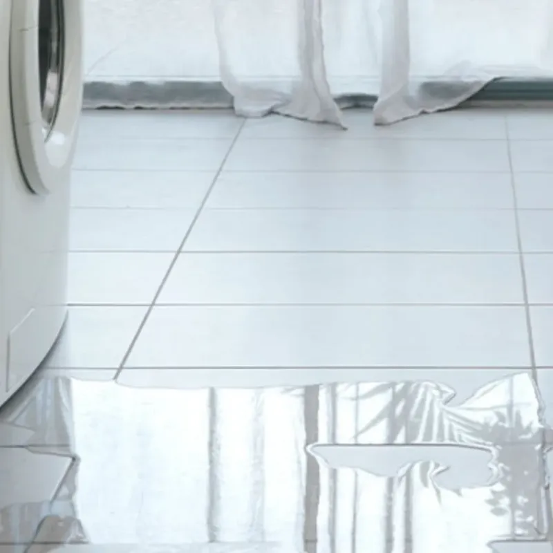 Appliance Leak Cleanup in Princeton Meadows, NJ